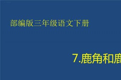 ​鹿角和鹿腿有什么做用