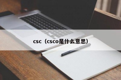 ​csc（csco是什么意思）