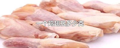 ​一个鸡翅根多少克蛋白质 一个鸡翅根多少克肉