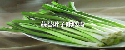 ​蒜苔叶子可以吃吗 蒜苔叶子能吃吗