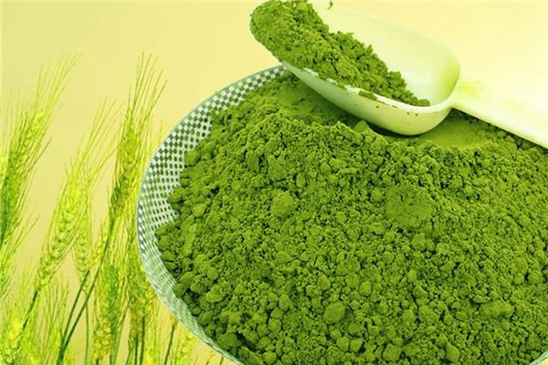 青汁可以缓解便秘吗 青汁调理肠道吗