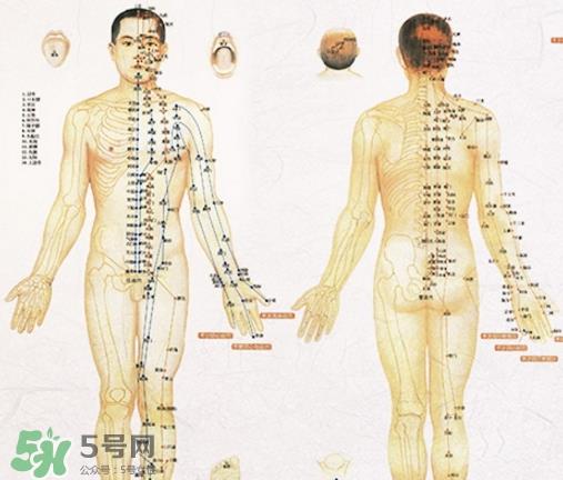 贴三伏贴可以吹电扇吗？贴三伏贴吹电扇好吗？