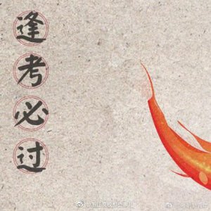 ​转发这张好运锦鲤图片，护师必过