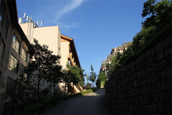 秦岭柞水盘古山庄｜藏在深山里的森林景观